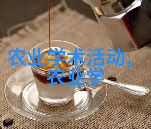 逆袭之树从废墟中绽放的风水奇迹