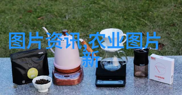 大棚蔬菜种植与管理培训方案我来教你如何让你的蔬菜大棚更有活力