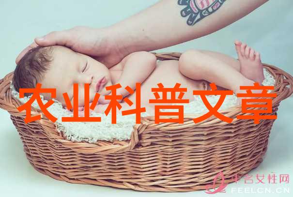 科普农业文章范文_农业科普文章_农业科普知识内容