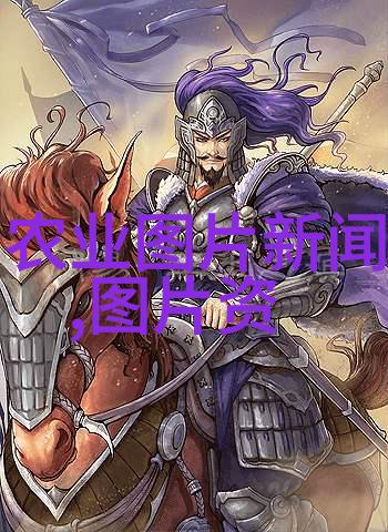 开放式公寓如何用少量植物营造出自然之美感