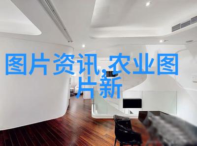 解读2023新版民法典完整版重塑家庭继承与合同关系的新篇章