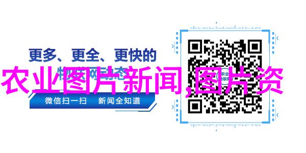 种子之梦繁华与寂静的交响