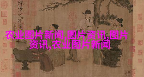 波斯菊