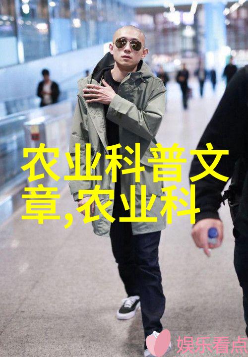中国畜牧养殖网结构演变与现代化发展策略探究