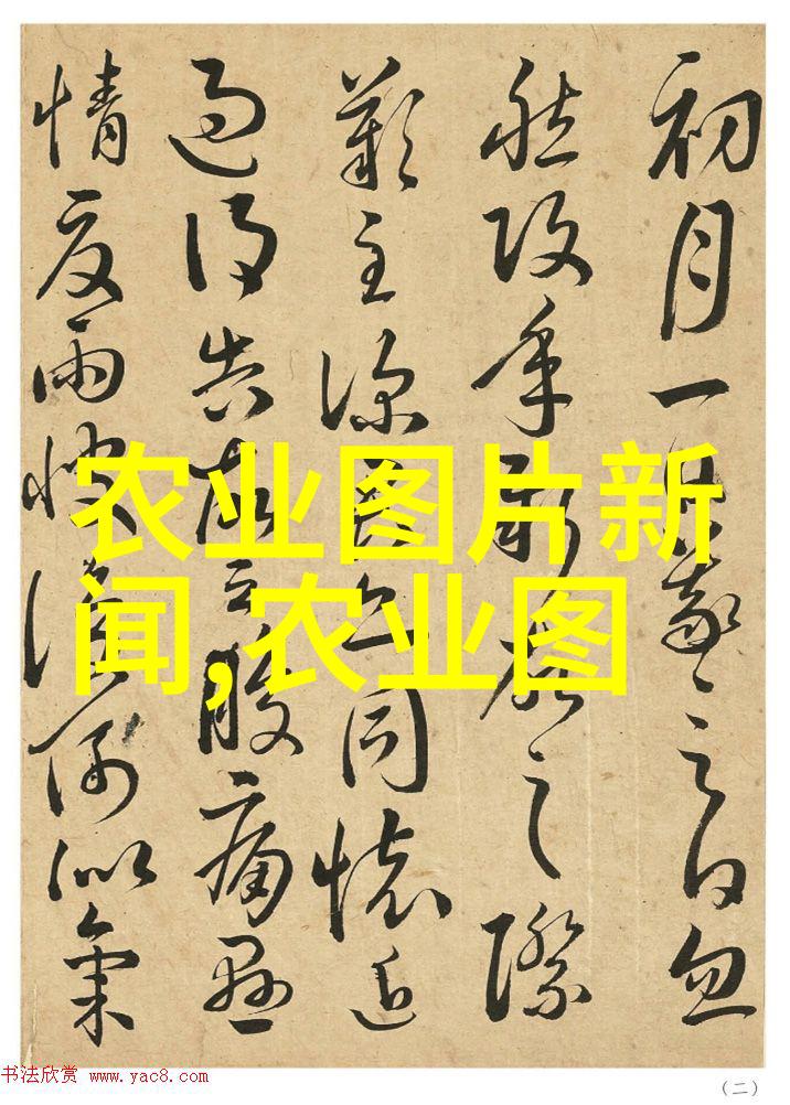 丰收财源探秘农村土地种植最赚钱的作物