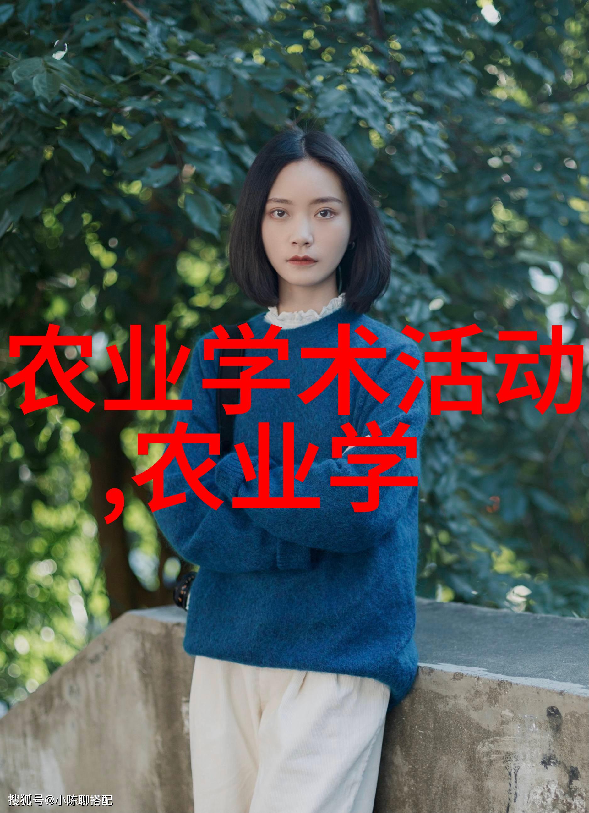 羊群管理之道如何打造健康繁荣的牧场