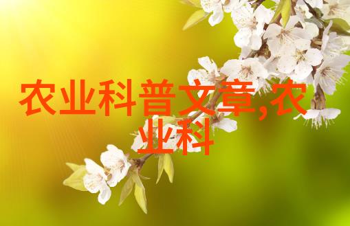 仓鼠的秘密世界毛茸茸的探险者与丰饶的地窖