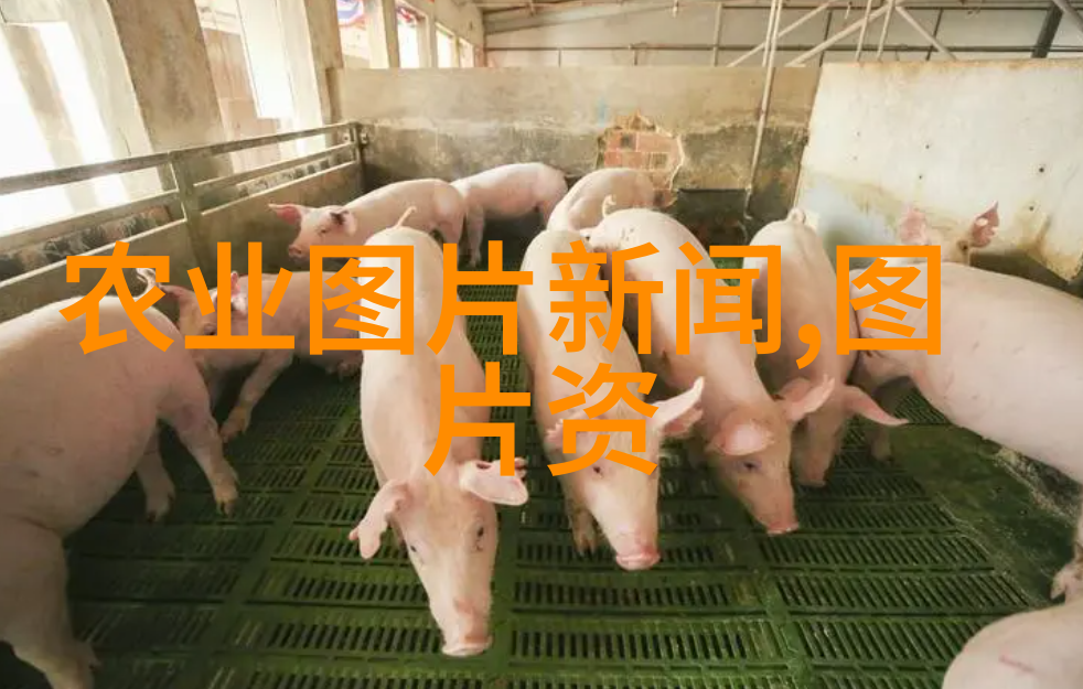 环境友好有没有既经济又环保的蜂蜜生产方法