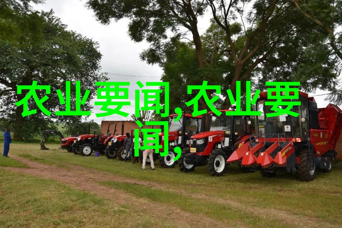 苗木种植-绿色生态的守护者苗木选育与栽培技巧