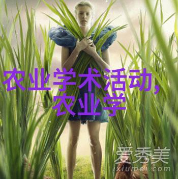 茶香满载探索各种茶的健康益处