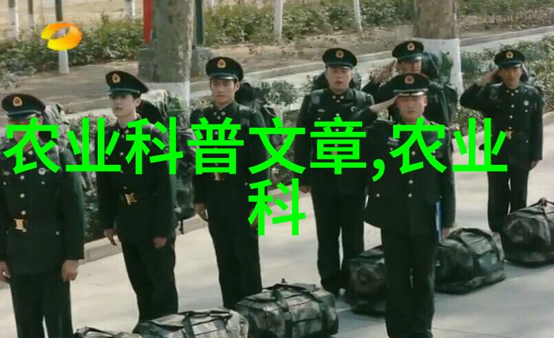绿意盎然的阳台花园旺宅植物种植技巧