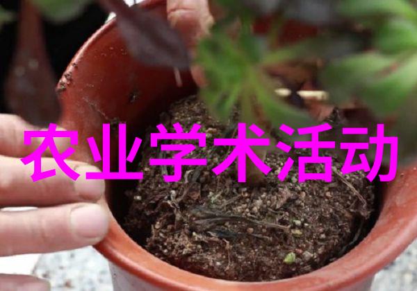 农业学术交流_学术农业交流活动方案_学术农业交流发言稿