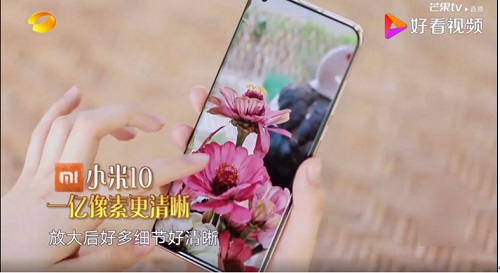 山东十大花卉批发基地揭秘花海背后的秘密