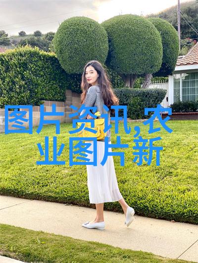 中药材价格走势预测2022年的涨幅及对行业的影响