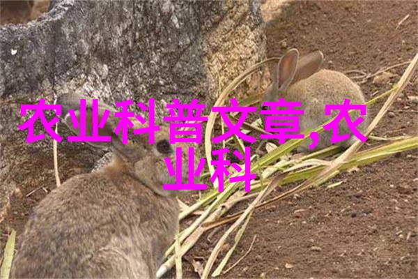 双孢蘑菇民法典目录的隐秘之谜