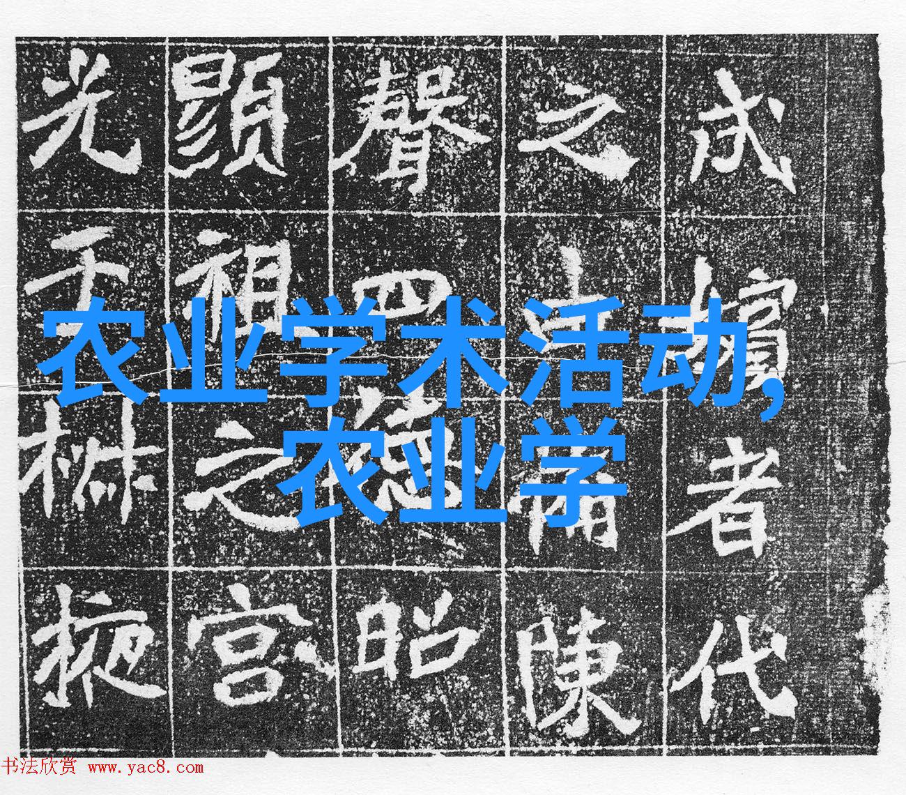 从零到英雄初学者应怎样管理鸡群以提高蛋生产力