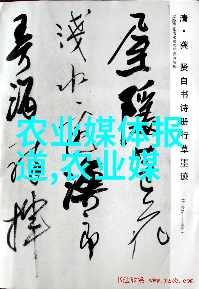 水果种子图片展示各种色彩斑斓的水果种子照片