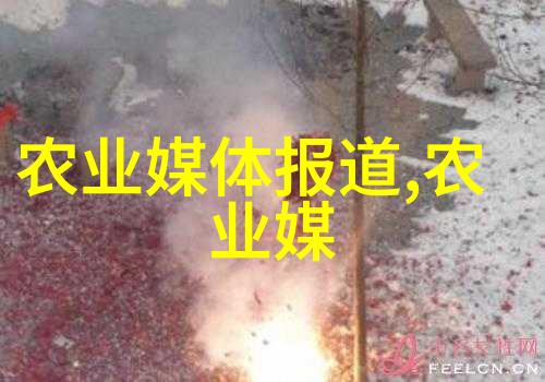 大樱桃如何保鲜贮藏技术你懂哪些