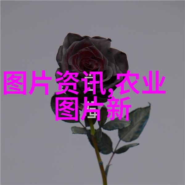 旋耕一体机革新农业生产效率的新篇章