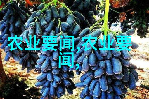 鲜花盛世揭秘花卉市场批发的秘密世界