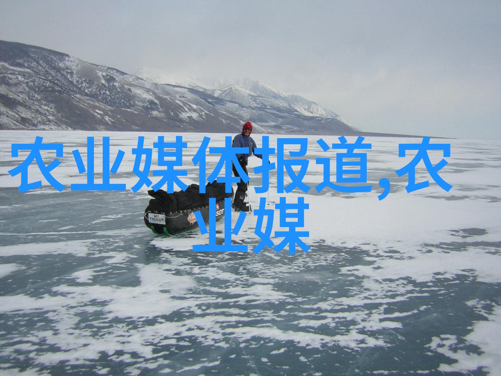 水果新贵了解热门市场中的奇亚籽果实