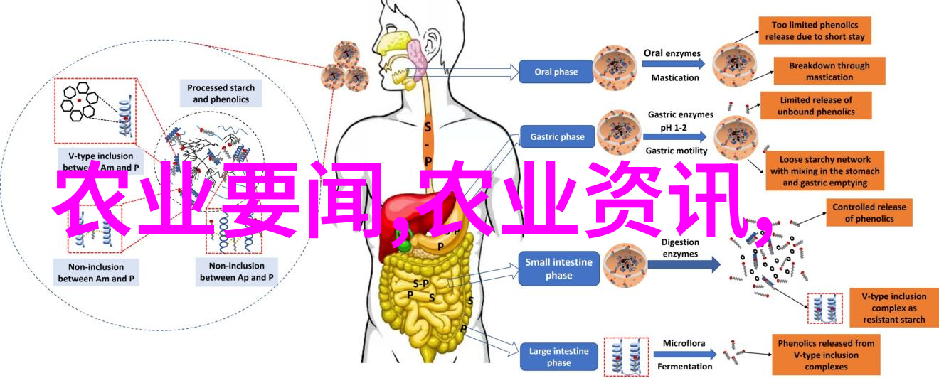 花种子品种-探索百花园世界上最美丽的花种子品种