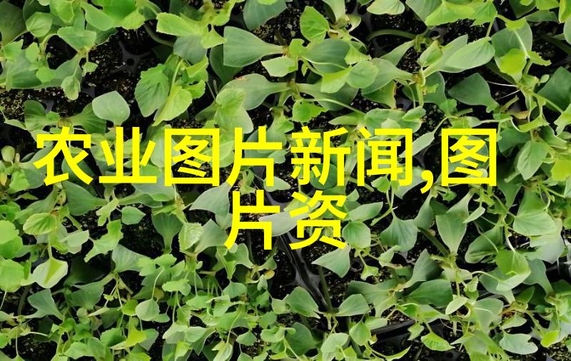 花卉种植我是怎么在阳台上搞出一片花海的
