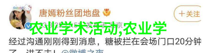 红薯叶甜美的秘密与营养宝藏