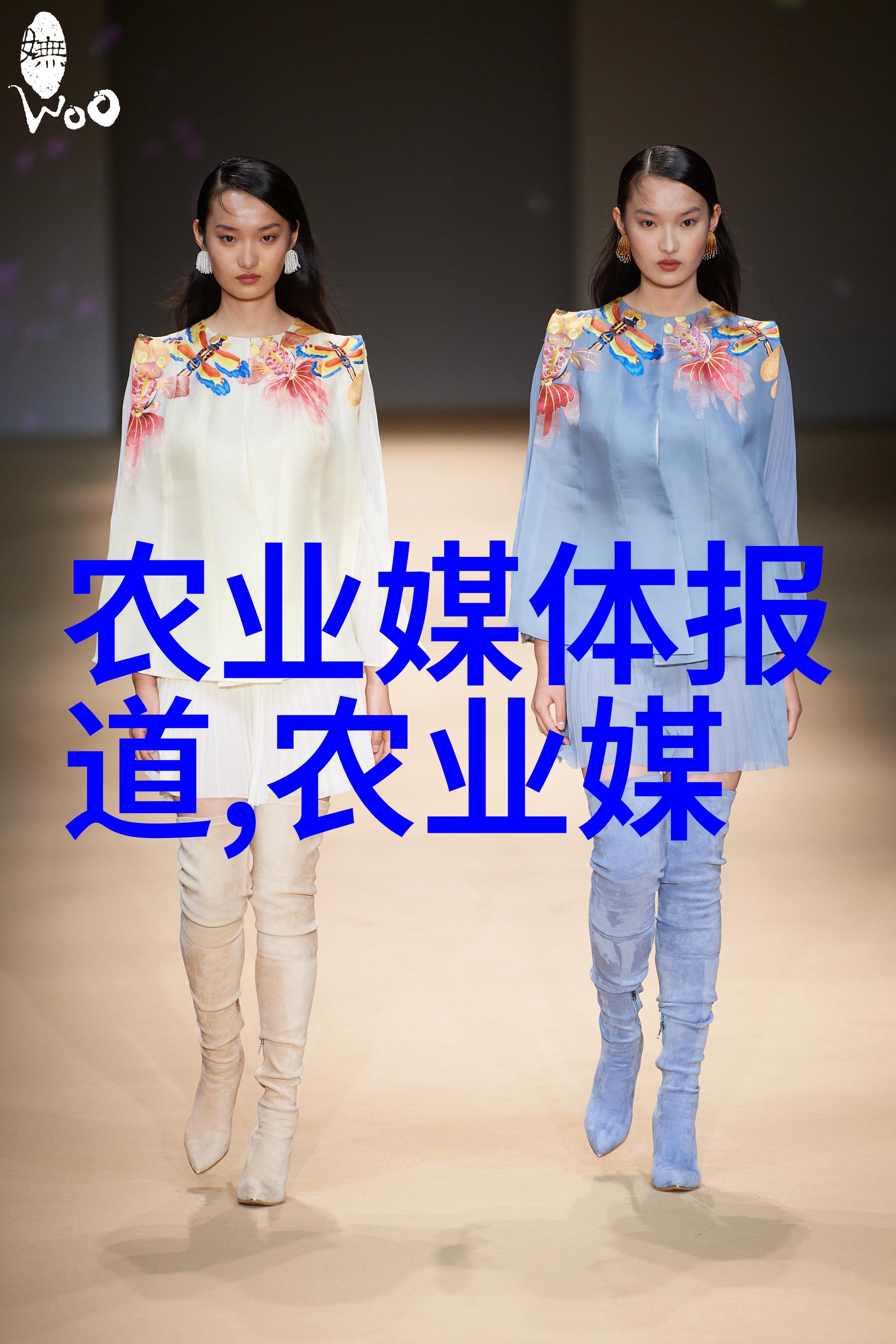 西洋菜谱精选西方美食