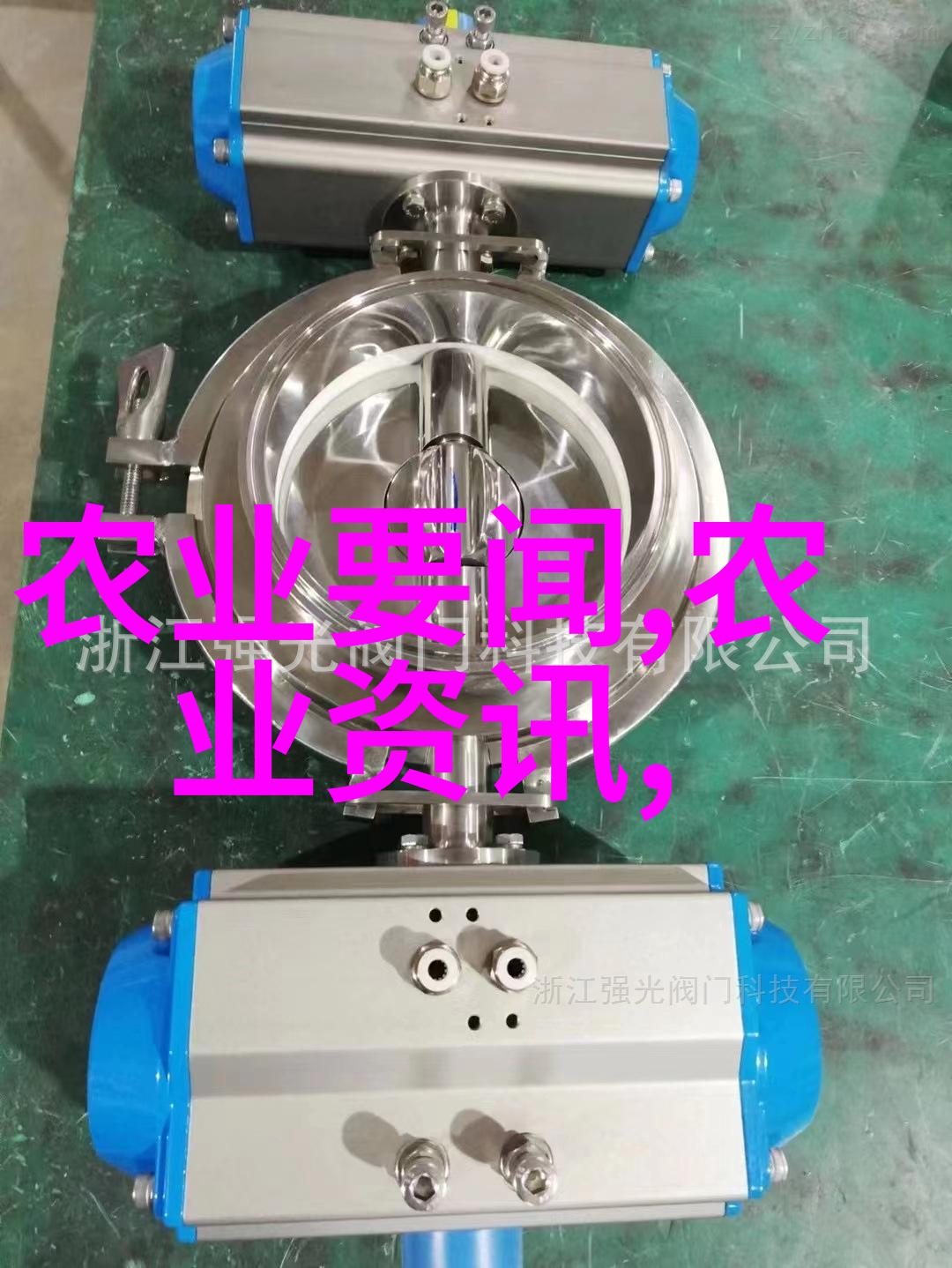 羊的孕育秘密多胎之谜在哪里