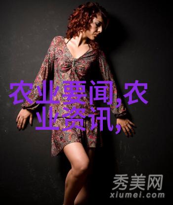 凉皮机背后的科技神秘能否揭开其操作原理的奥秘