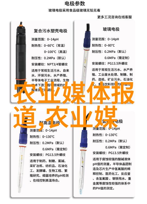 小麦抗旱研究进展保障北方地区粮食安全