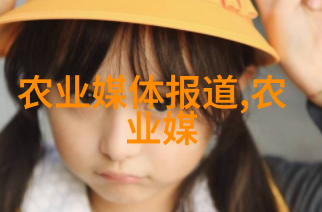 在农业中什么是智能仓储管理系统的大数据应用
