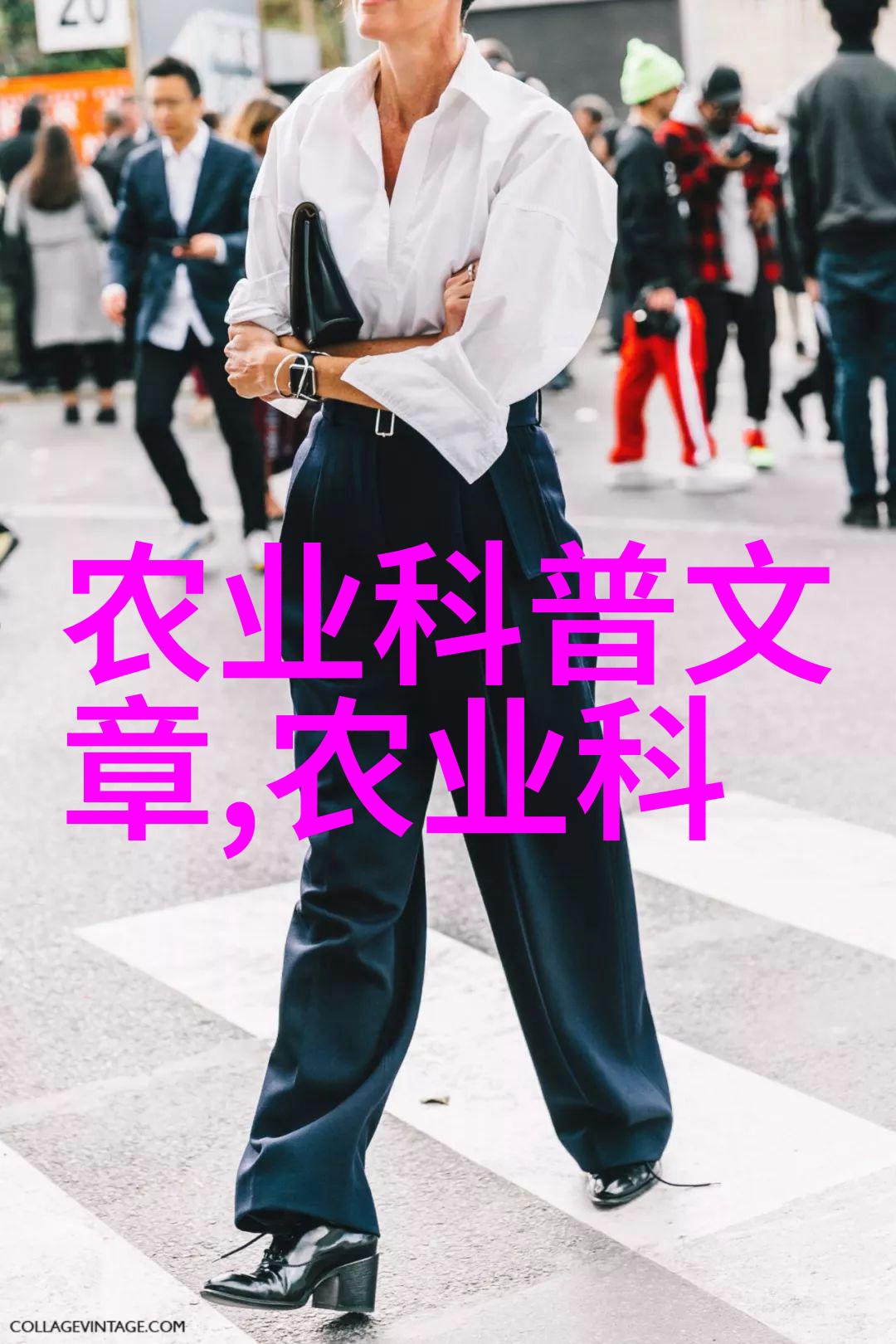 茶的秘密花园揭开千年古韵背后的神秘种类
