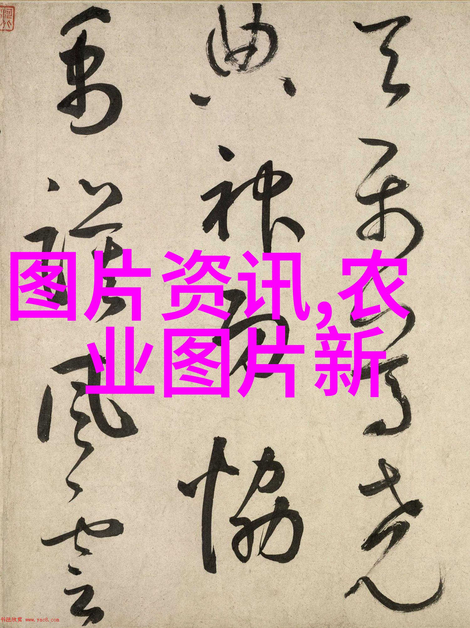 苗木生意一年能赚多少不就是树大有望花开富贵嘛