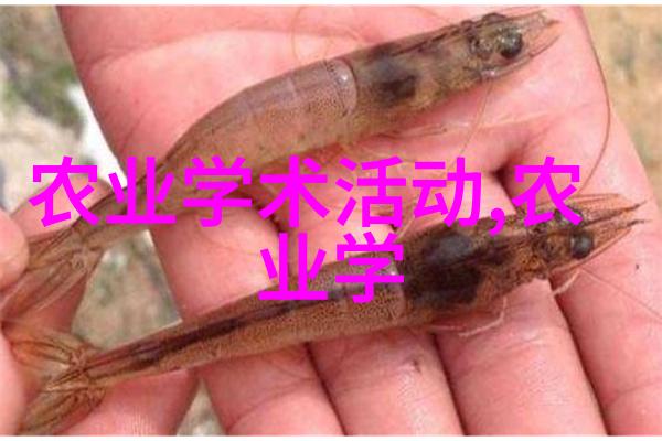 未来种植什么最赚钱我是如何在未来农业中挖掘金mine的