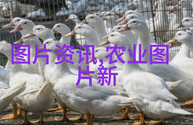 花卉种植培训基地绿茵茵的学园之旅