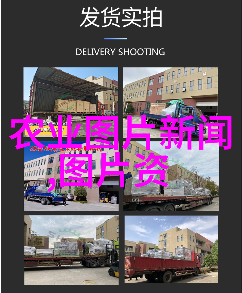 从泥土到海洋龙虾养殖的逆袭之旅