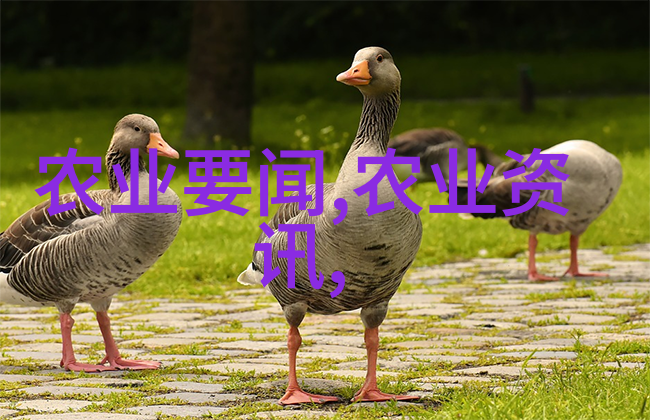 绿色革命未来农业的无人先锋