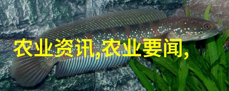 中药材价格一览表2022查询我来帮你找找那些好药
