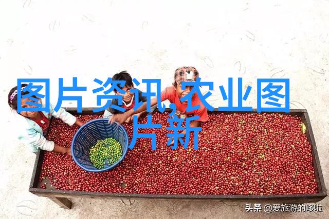 草药大集合从艾灸到藿香3000种草药让你笑出汗来