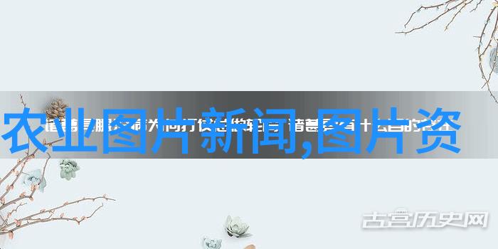 广西名贵中草药种植桂林山楂南宁黄连柳江川芎