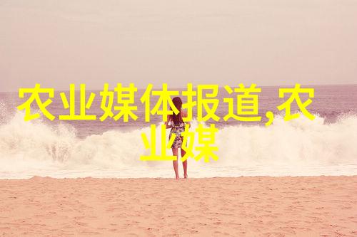 自动化包装解决方案提高效率降低成本