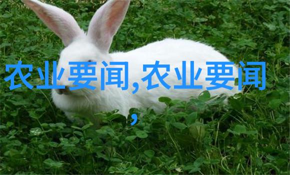 河南菜篮子揭秘蔬菜大本营的绿意盎然笑话