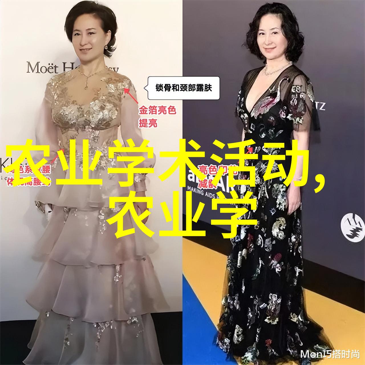 峡谷正能量探秘那些激励人心的故事