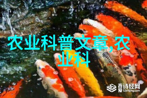 主题-丰富多彩各种果实种子的图片展示