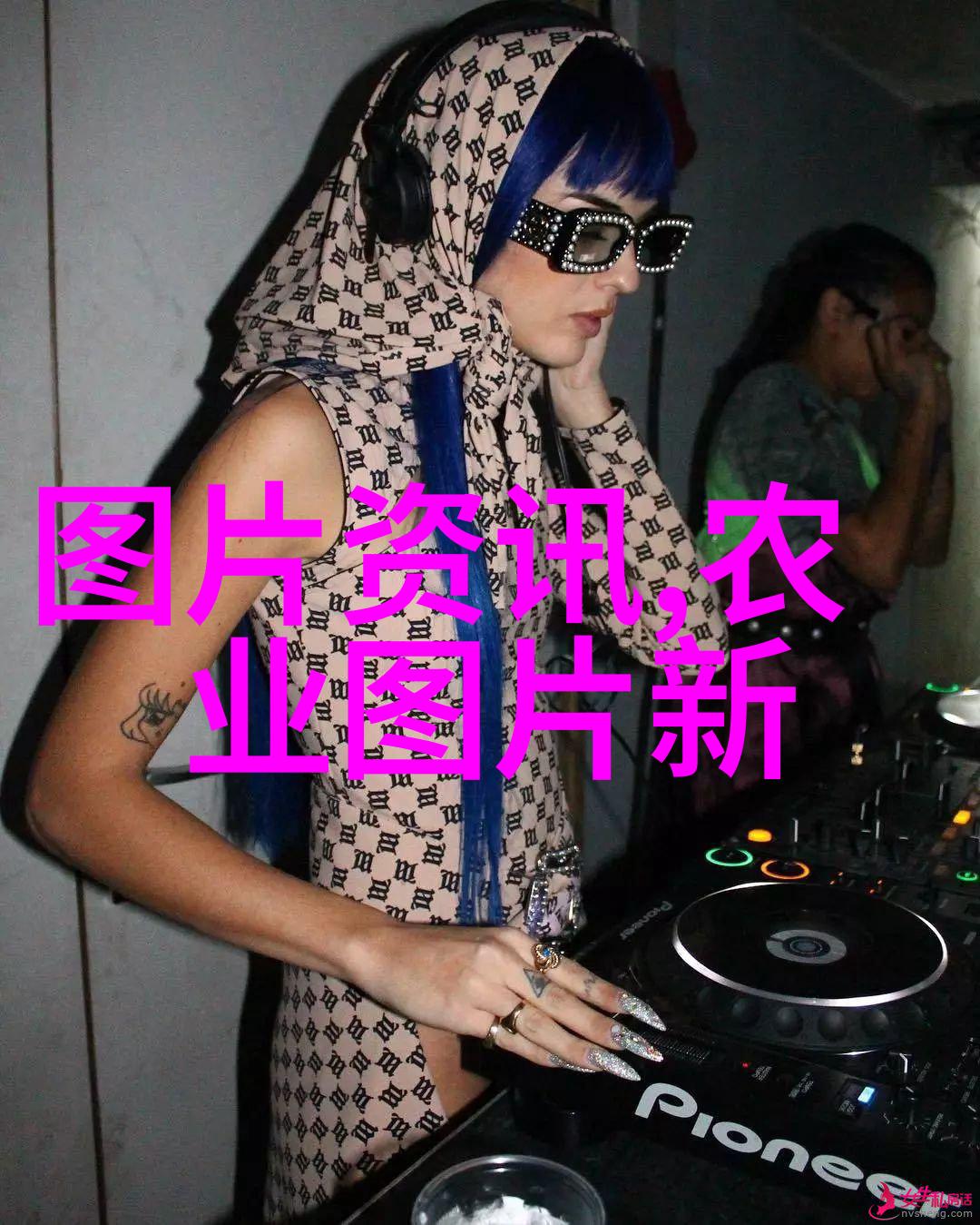 蜜蜂的分蜂艺术简易技巧与实用策略