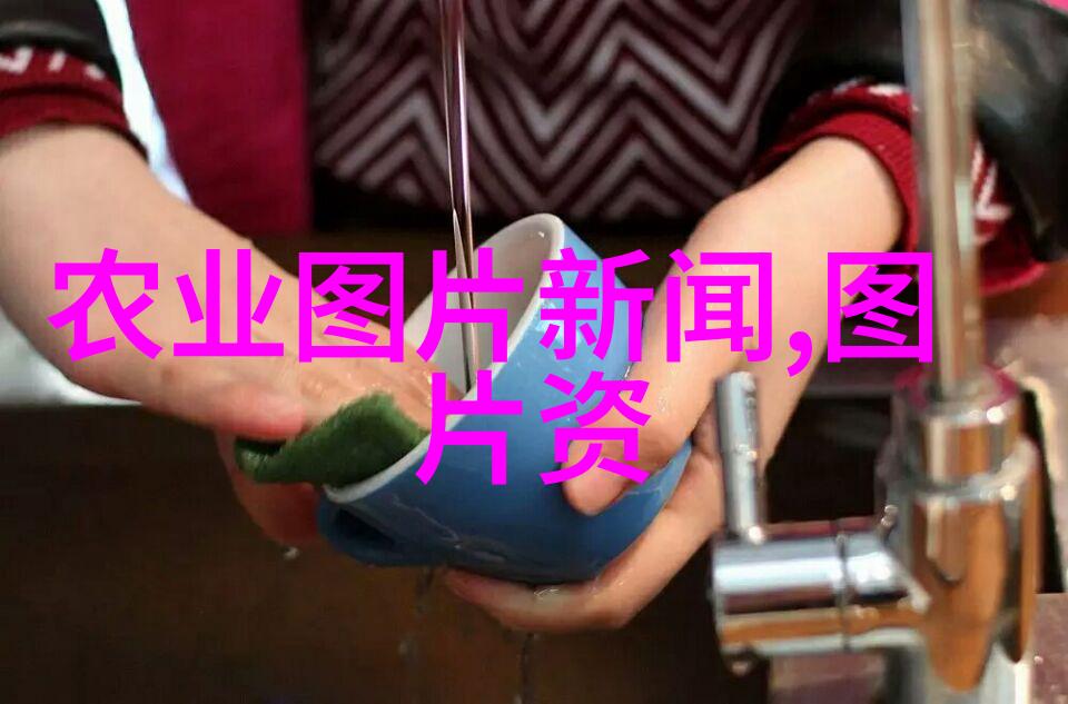 怎样养好菜鸭