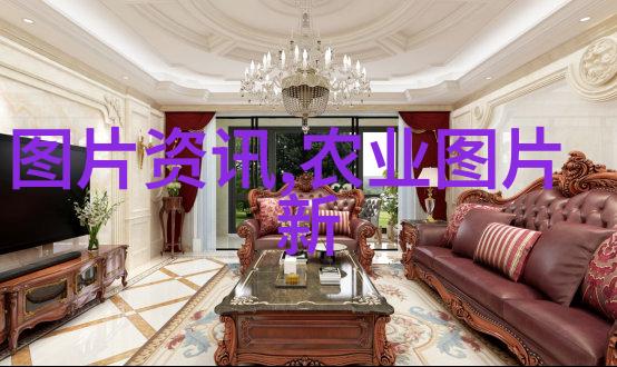 播种笑颜揭秘那些让你春日游乐的草花种子