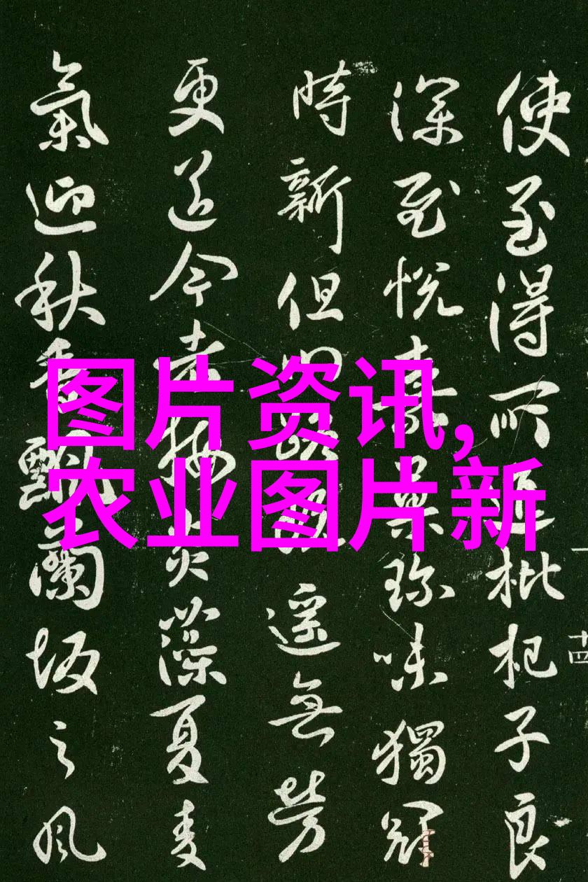 炉鼎之中藏龙卸甲极品师尊的秘密艺术